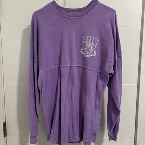 DPhiE Delta Phi Epsilon Purple Jersey Long Sleeve Crewneck Shirt - Small